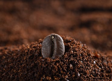 ¿Cuál es el mejor café tostado y molido para tomar en esta temporada de lluvias?; esto dice Profeco