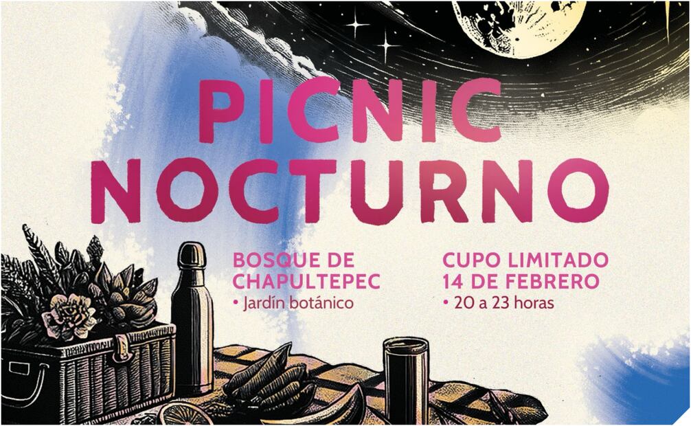 Picnic Nocturno en Chapultepec. Foto: Especial