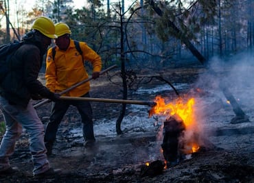 Suman 13 incendios forestales en varios municipios de Chihuahua; despliegan a más de 250 brigadistas