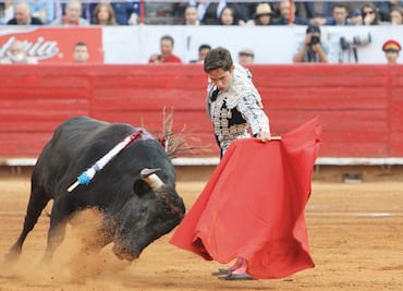 Aguascalientes declara patrimonio cultural corridas de toros y peleas de gallos; reforma incluye Feria de San Marcos